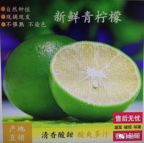 芒市注入两千余万资金，以电商赋能乡村振兴